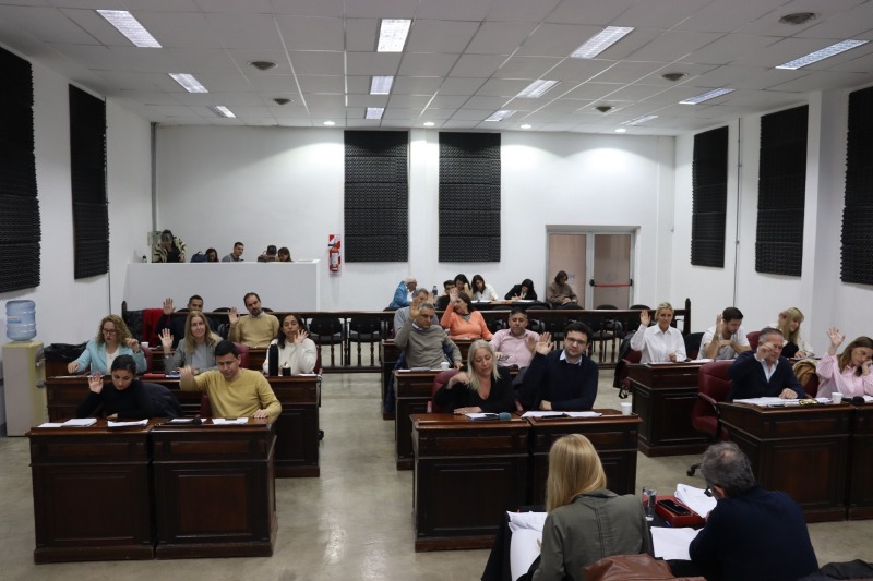 El HCD realiz la 11 sesin ordinaria del 2025